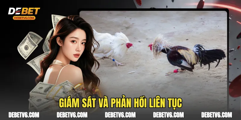 Giám sát và phản hồi liên tục